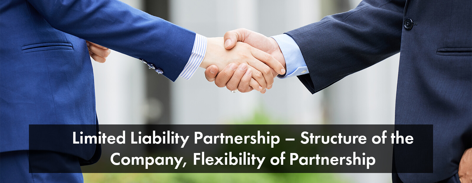 Limited Liability Partnership – Structure of the Company, Flexibility of Partnership