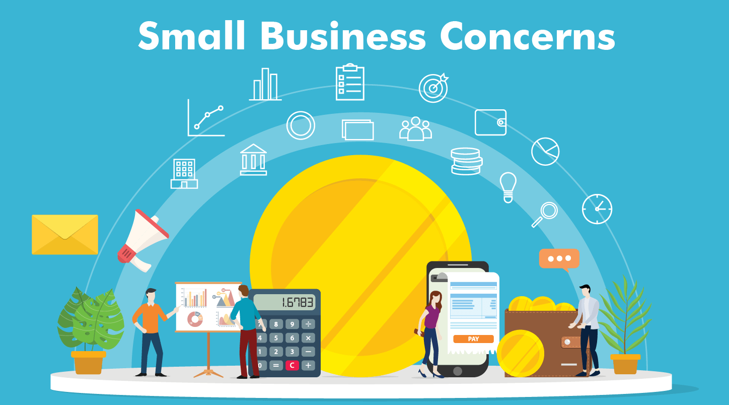 Small Business Concern Vs Large Business Concern