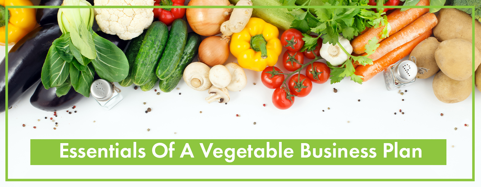 vegetable shop business plan pdf