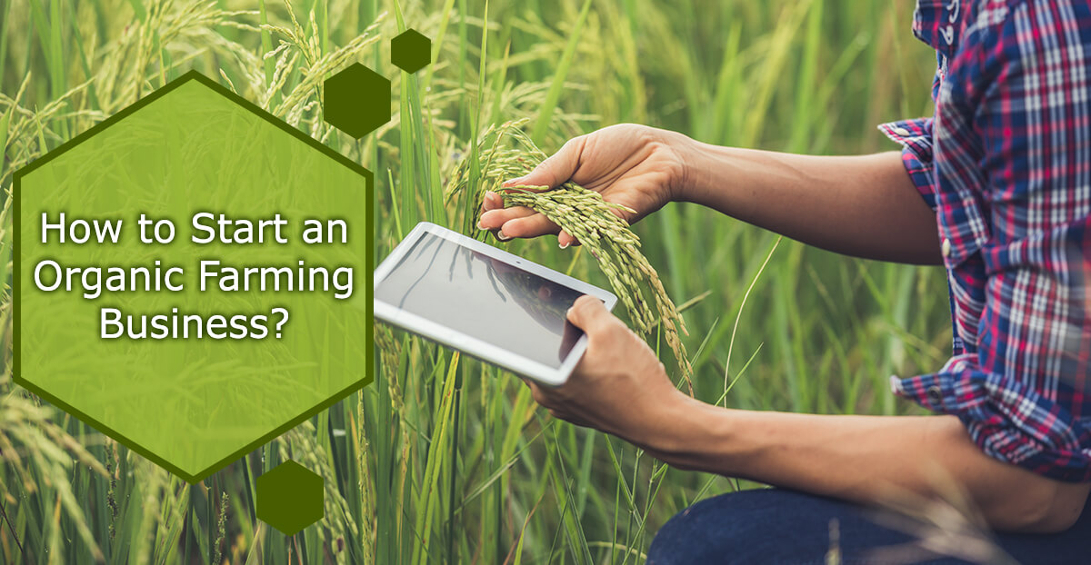How To Start An Organic Farming Business?