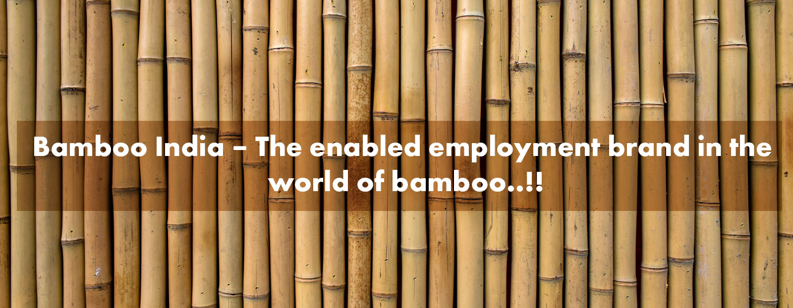 bamboo software create login bamboo software create login