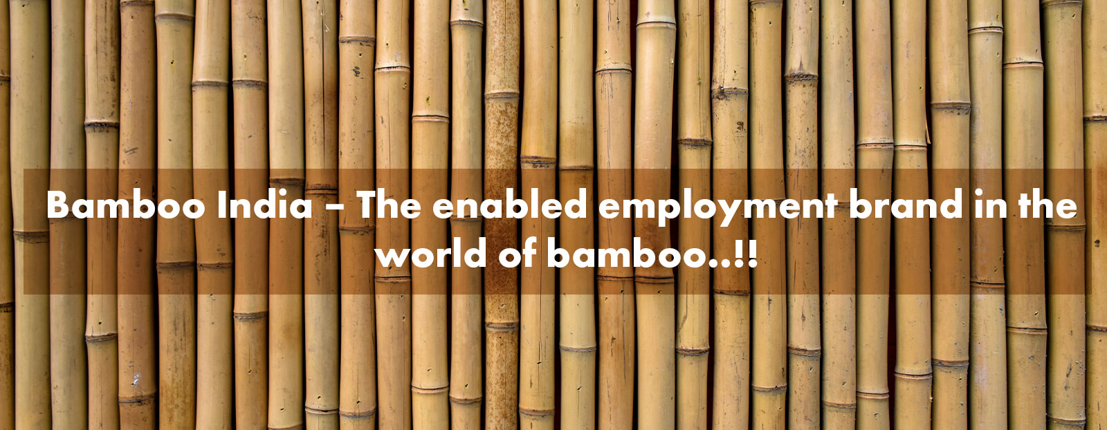 Bamboo India – The enabled employment brand in the world of bamboo..!!