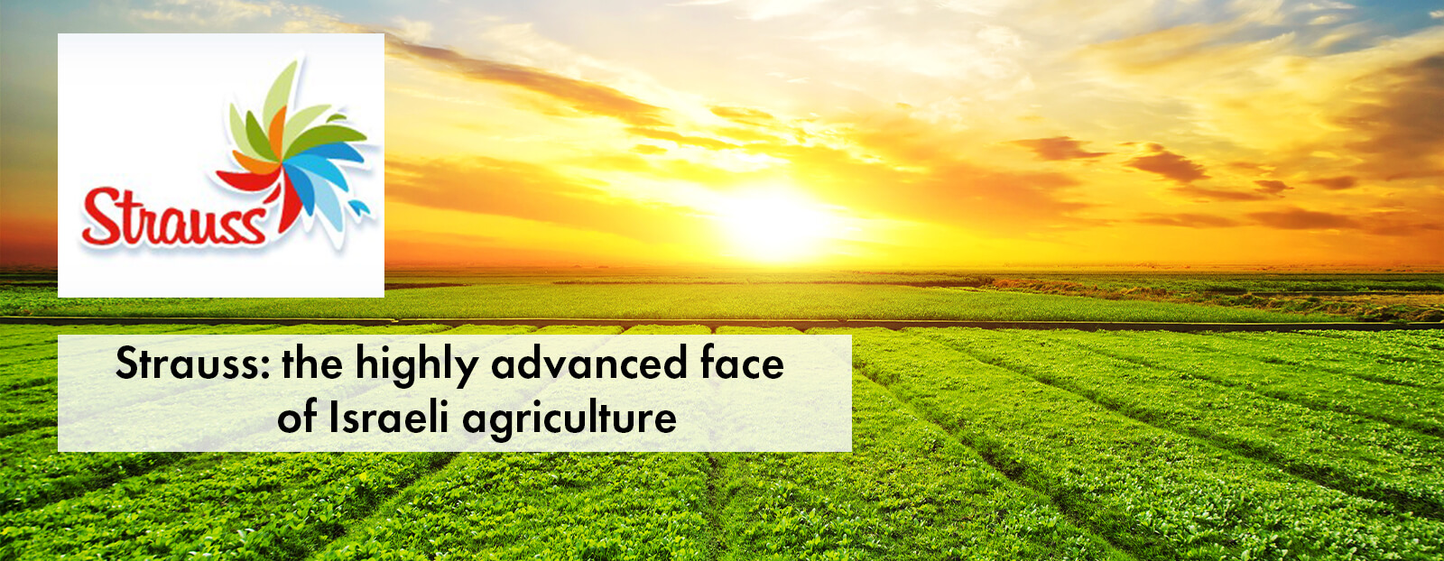 Strauss: the highly advanced face of Israeli agriculture.