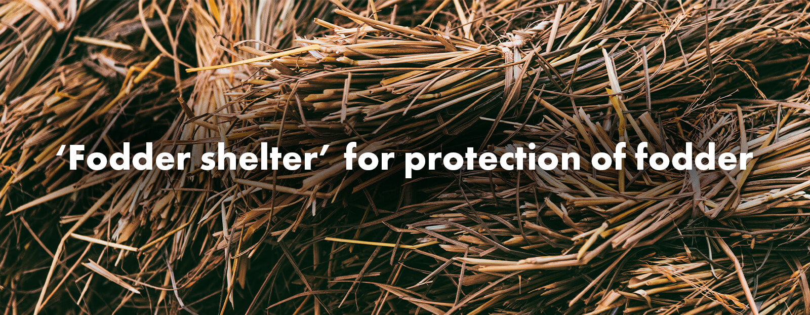 ‘Fodder shelter’ for protection of fodder