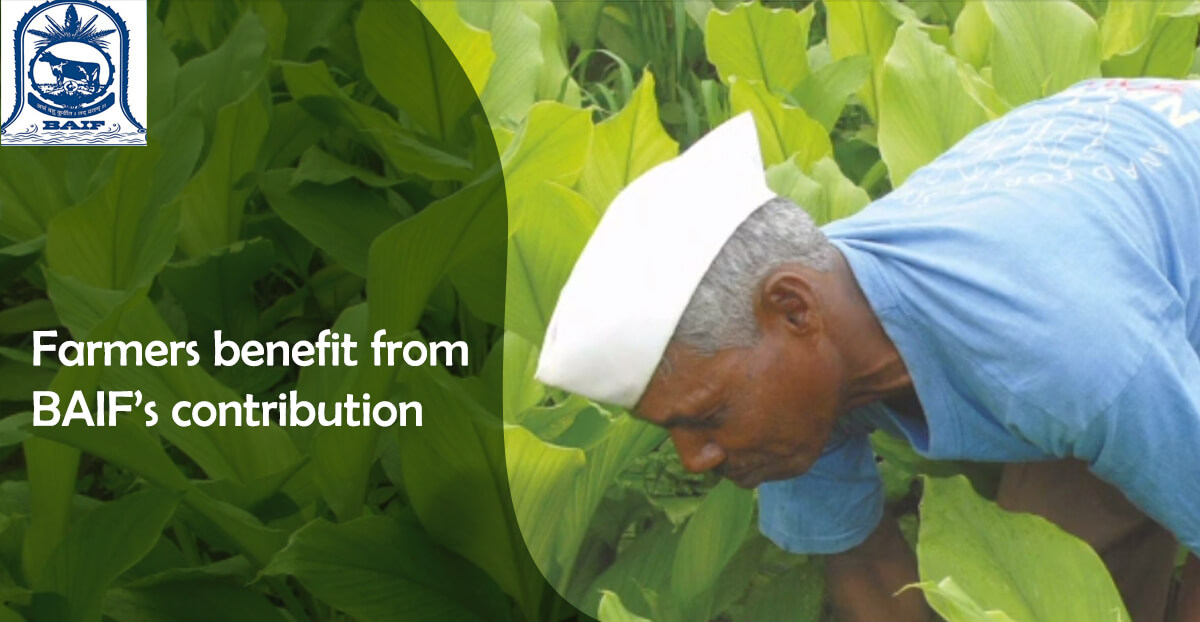 Farmers benefit from BAIF’s contribution