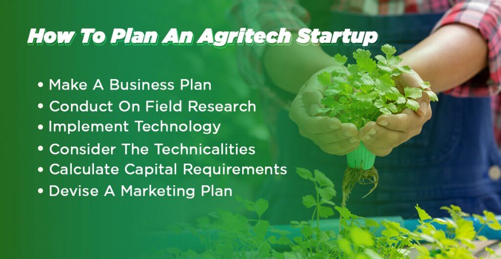 online vegetable selling business plan