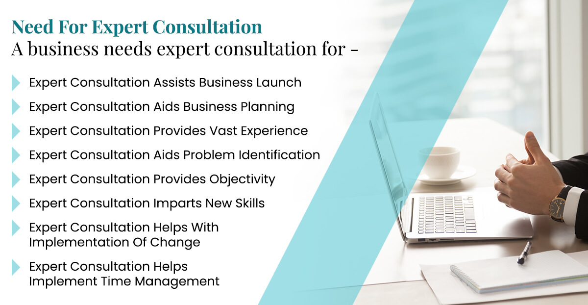 Expert Consultation