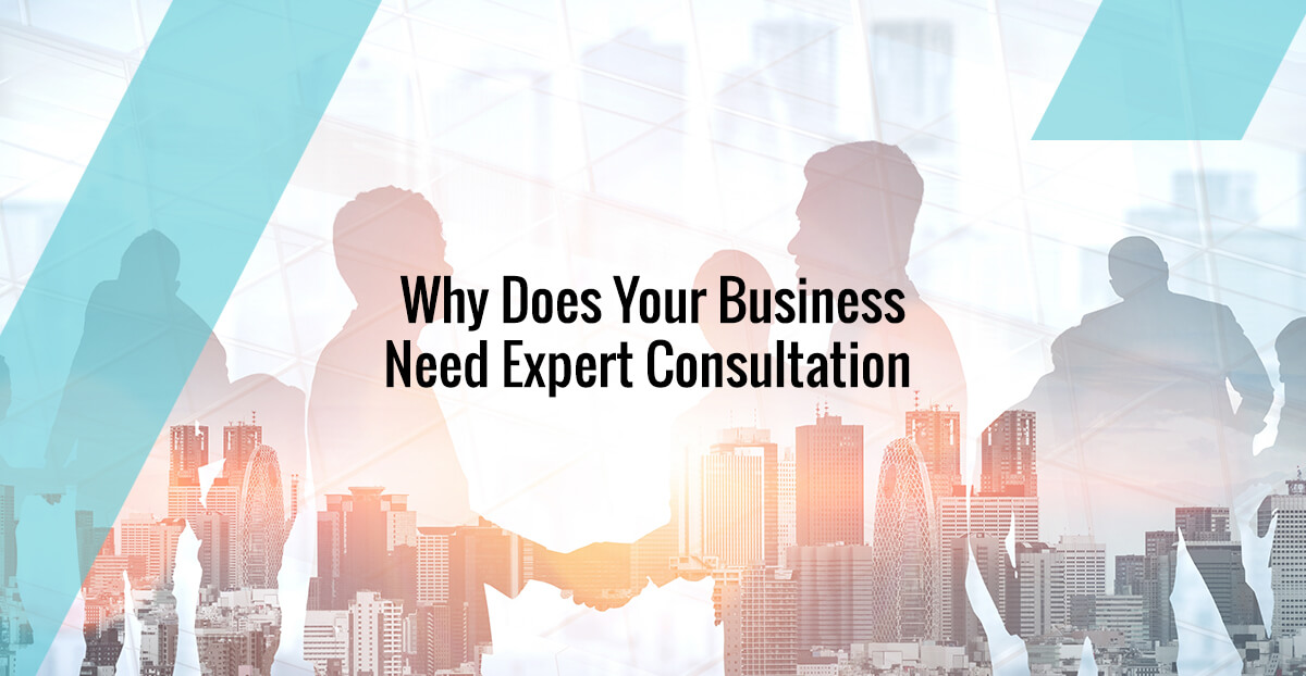 Why Does Your Business Need Expert Consultation? 