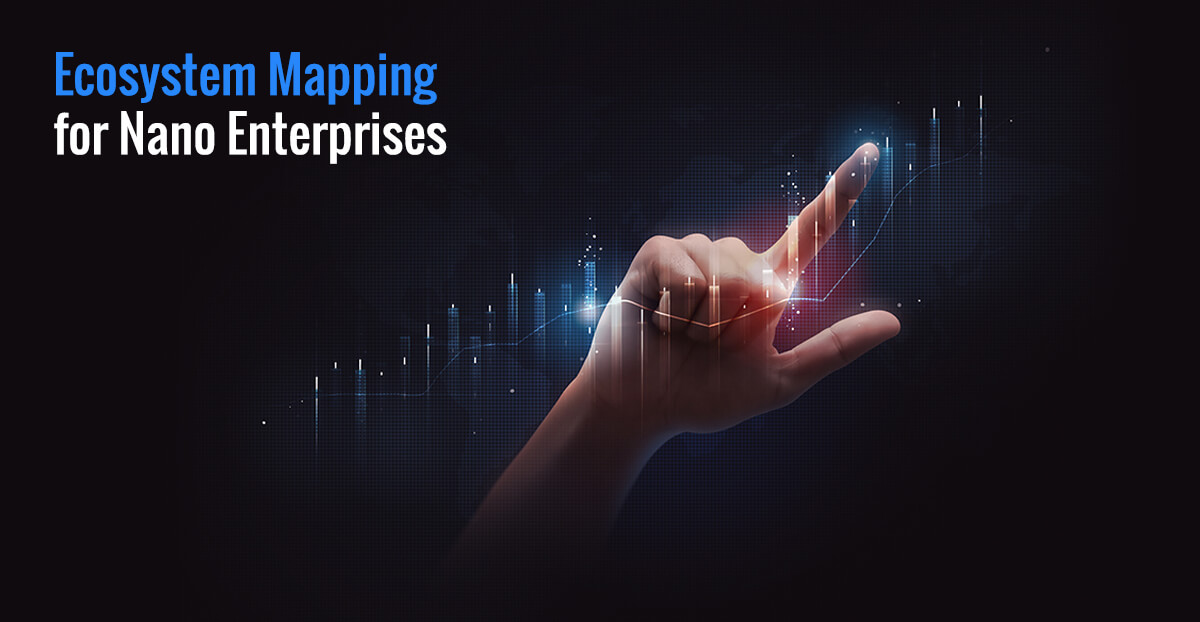 Ecosystem Mapping for Nano Enterprises